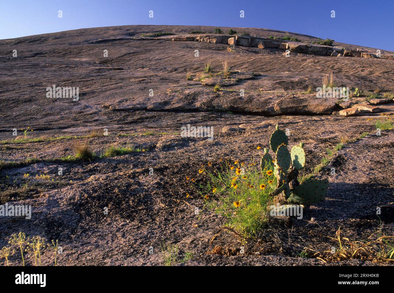 Enchanted Rock, Enchanted Rock State Park, Texas Stock Photo - Alamy