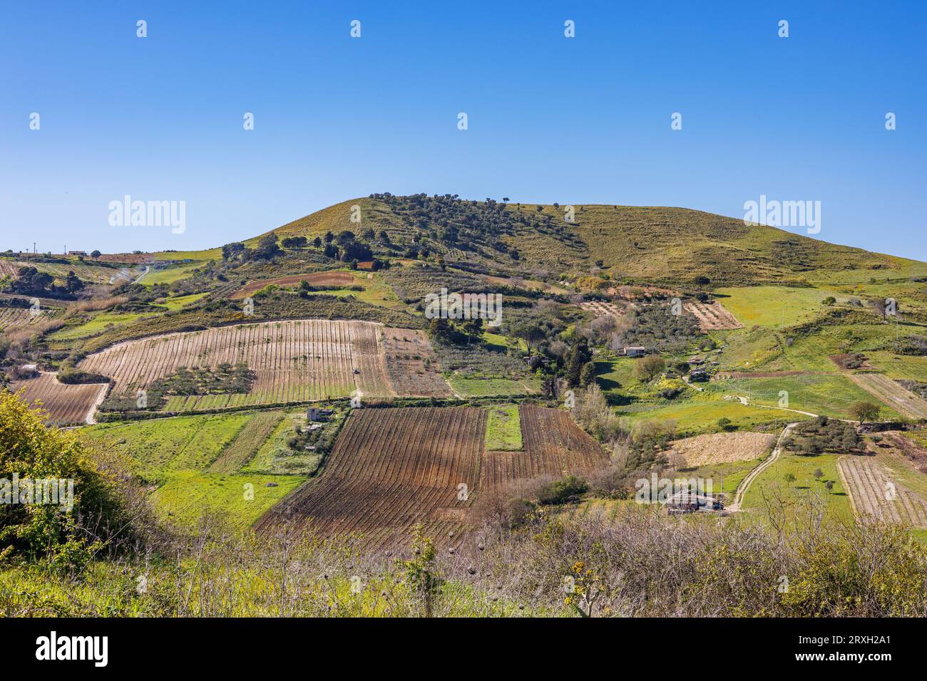 Grillo rural hi-res stock photography and images - Alamy