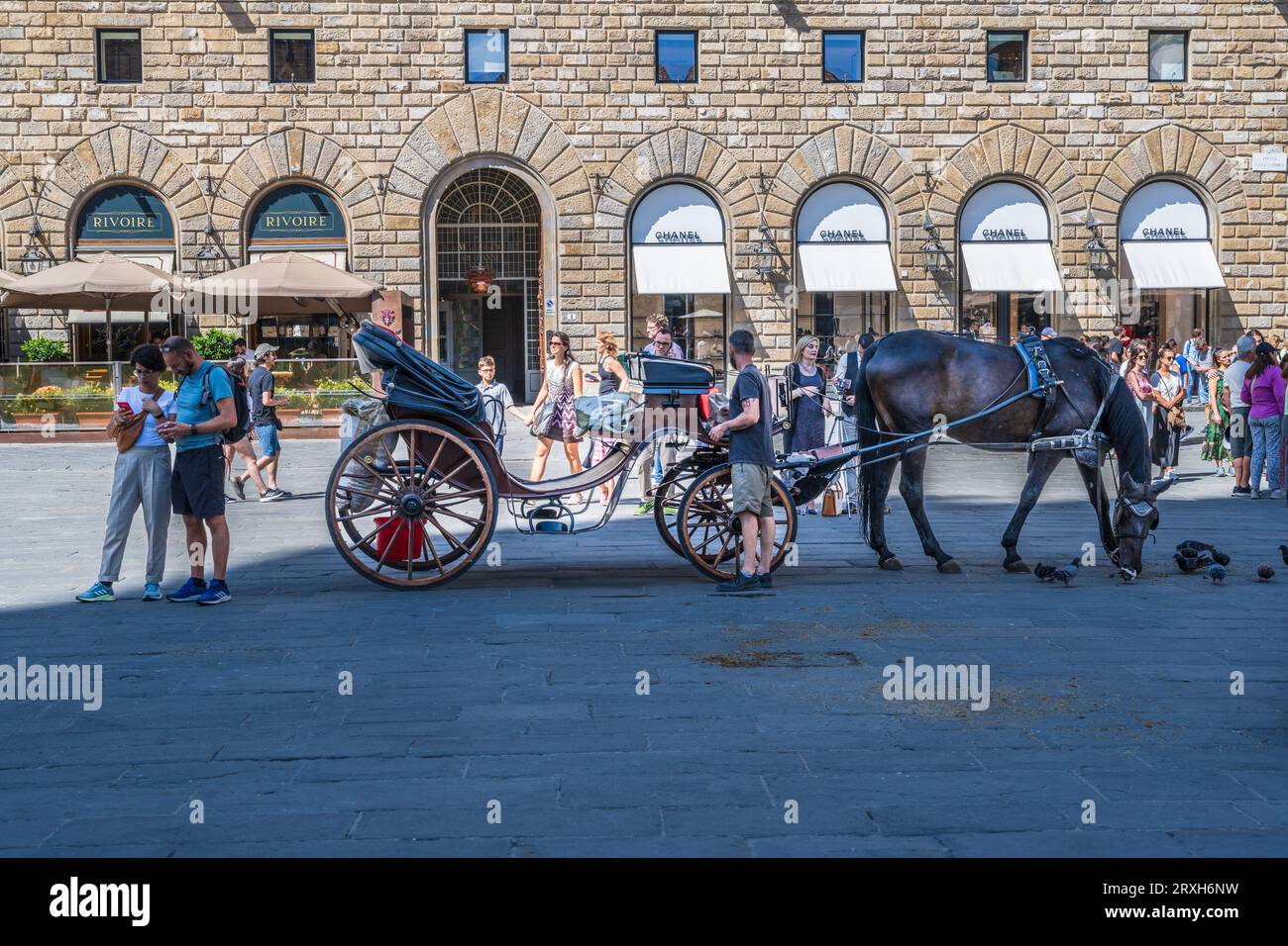 Florence, Italy -- Sept 1, 2023.  A photo of a horse, carriage and driver resting in the swanky Piazza Della Signoria while tourists walk by in Floren Stock Photo