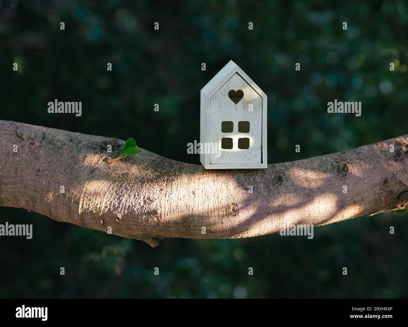 Little wooden house on tree branch. The unvarnished, raw wood of the house stands out in stark contrast against the lush, blurred green background. Stock Photo