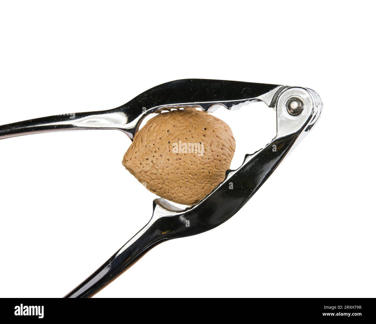 an almond in a nutcracker with a transparent background Stock Photo Alamy
