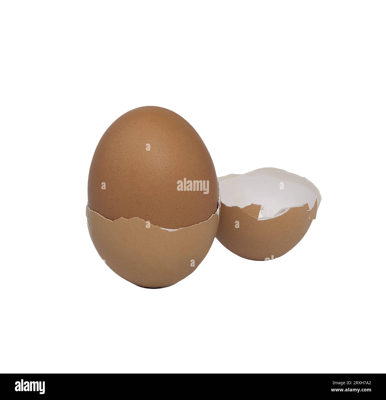 the double shell of an egg on a transparent background Stock Photo