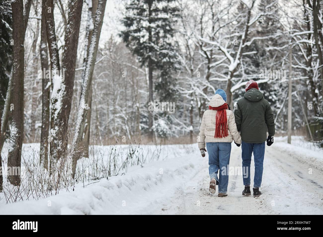 Back view of young couple holding hands while walking in winter forest ...