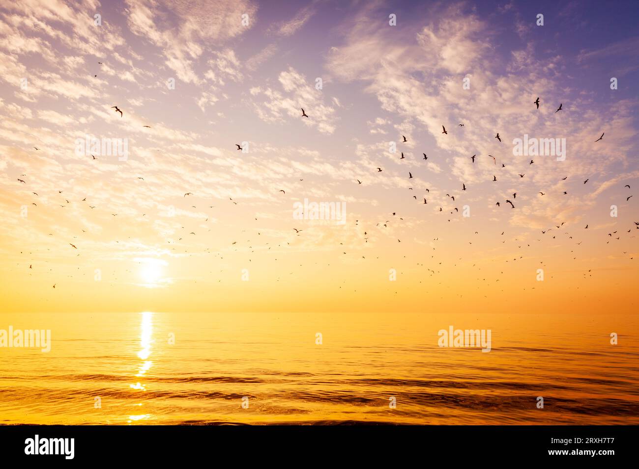 Scenic sunset over the Gulf of Mexico at St Pete Beach in Florida Stock ...