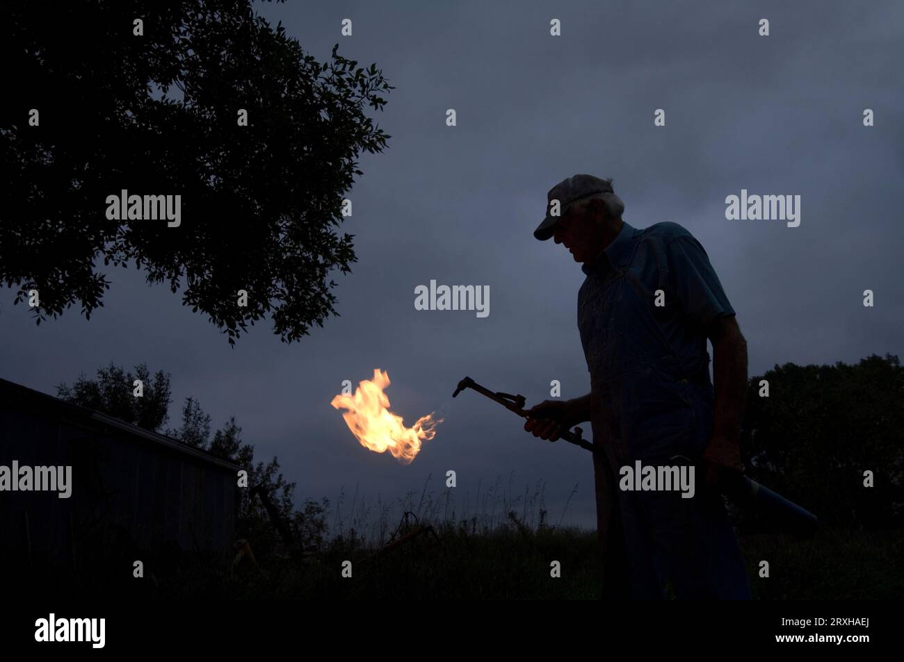 Man holds a welding torch with bright flames against an overcast sky and silhouetted trees; Cortland, Nebraska, United States of America Stock Photo