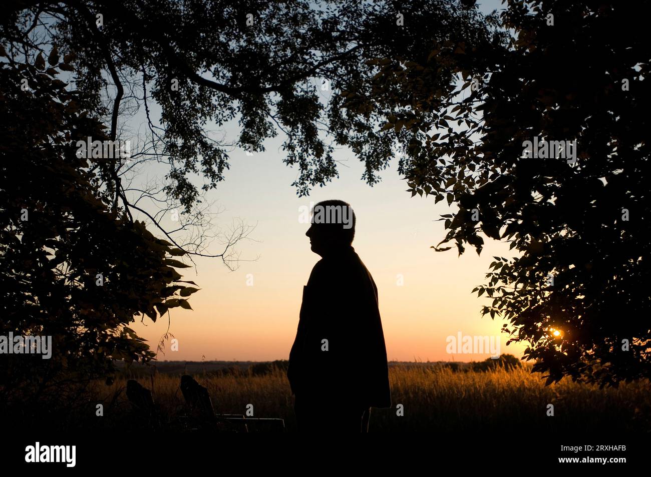 Silhouette of a young man watching the sun set on a farm in the countryside, framed by silhouetted tree foliage Stock Photo