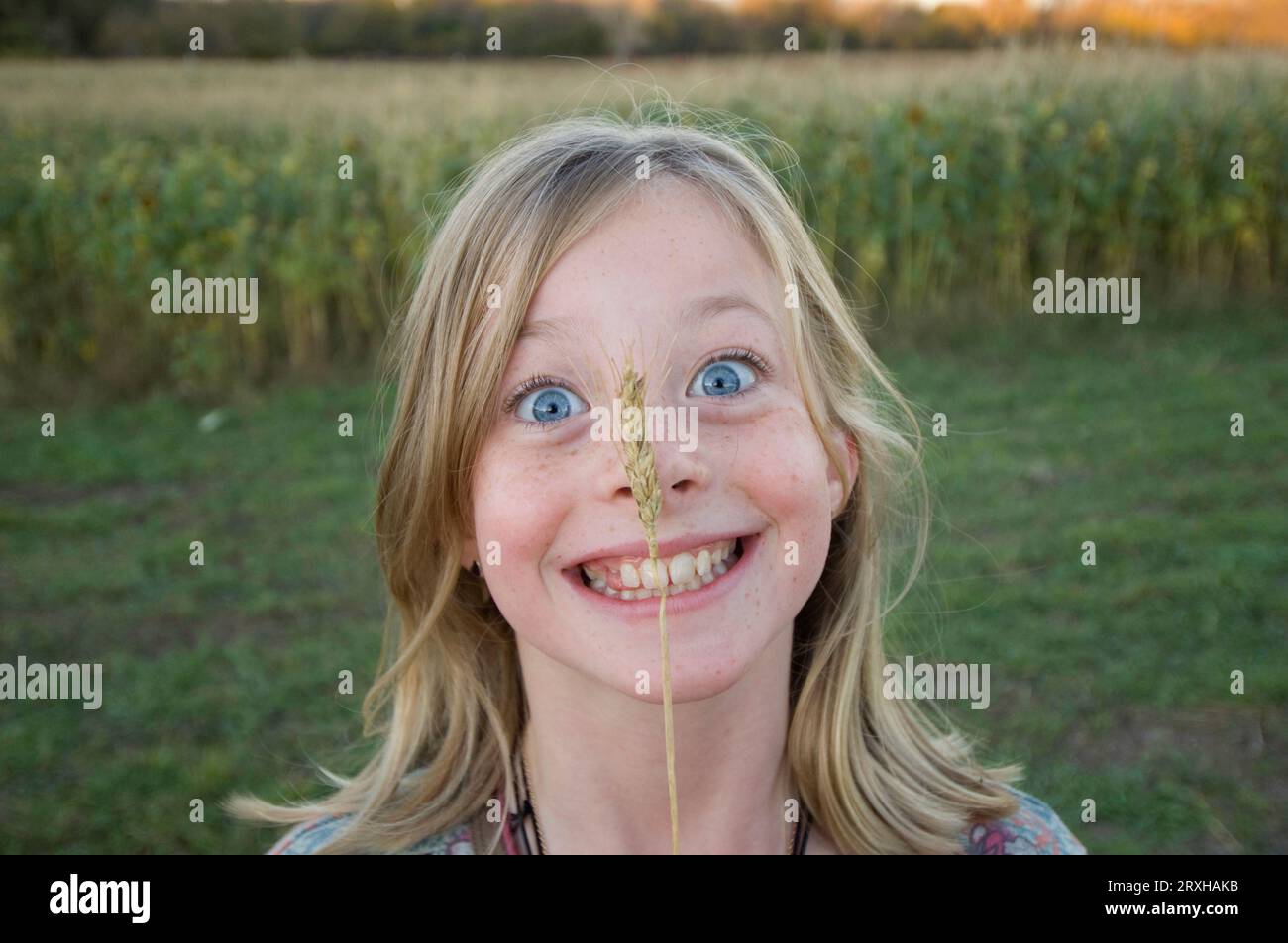 Young girl holds a piece of wheat up to her big blue eyes; Roca, Nebraska, United States of America Stock Photo