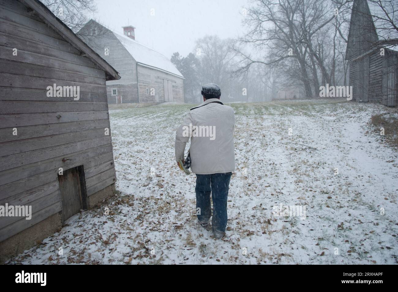 Senior man on a farm in a snowfall; Walton, Nebraska, United States of America Stock Photo