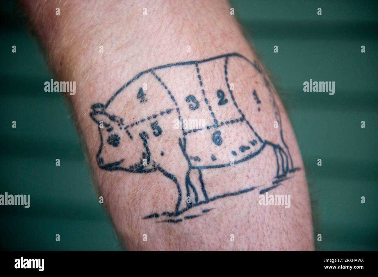 Pig in a cup by Howard Bell (PORTLAND) : Tattoos