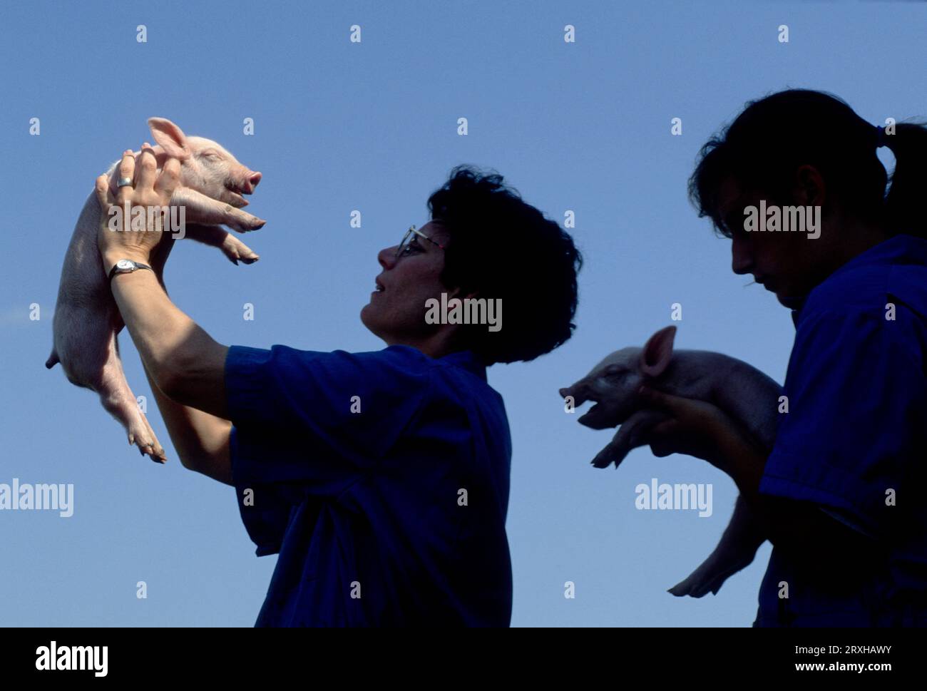 Woman and her daughter hold piglets; Nebraska, United States of