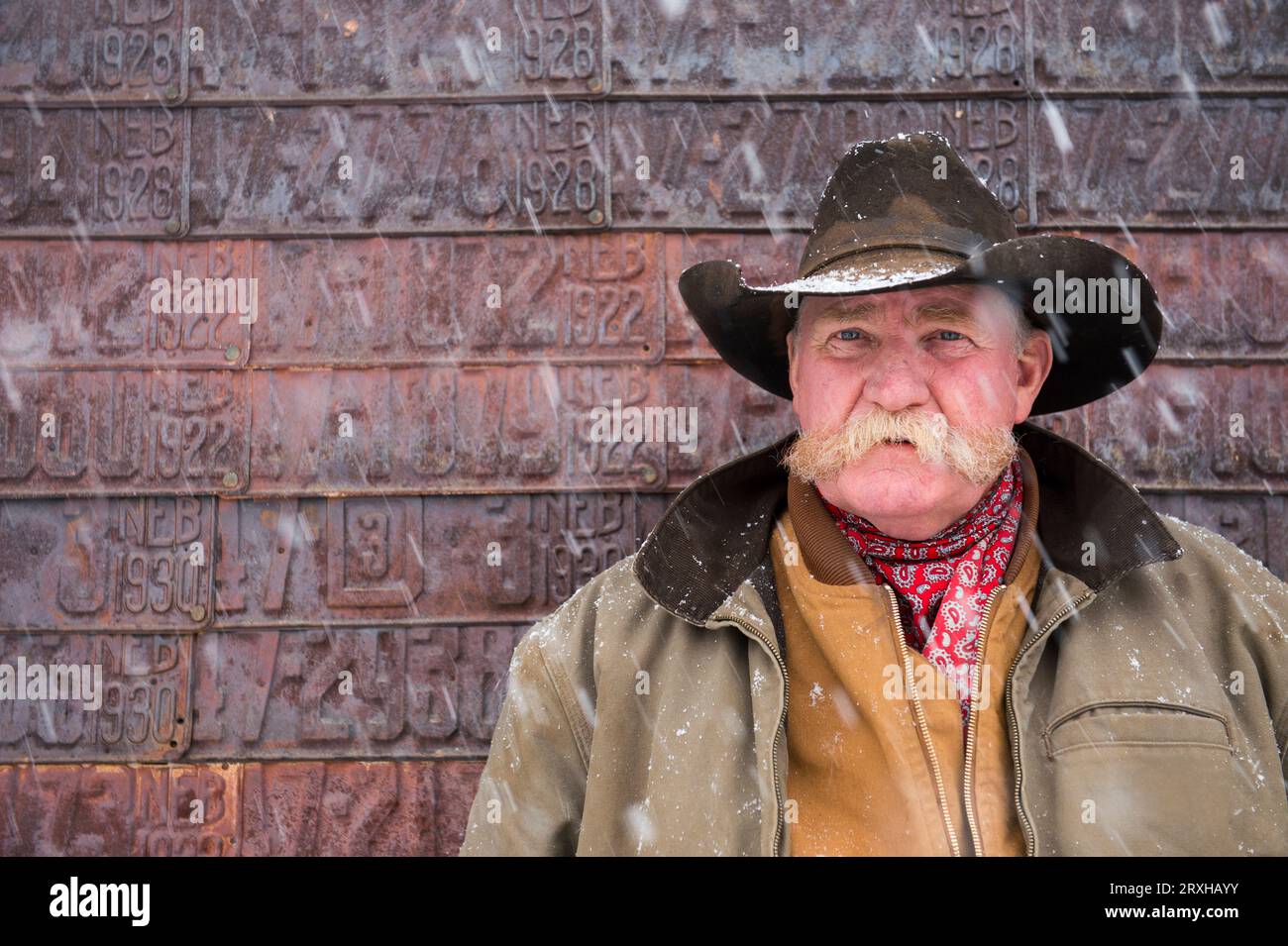 Old cowboy man portrait hi-res stock photography and images - Alamy