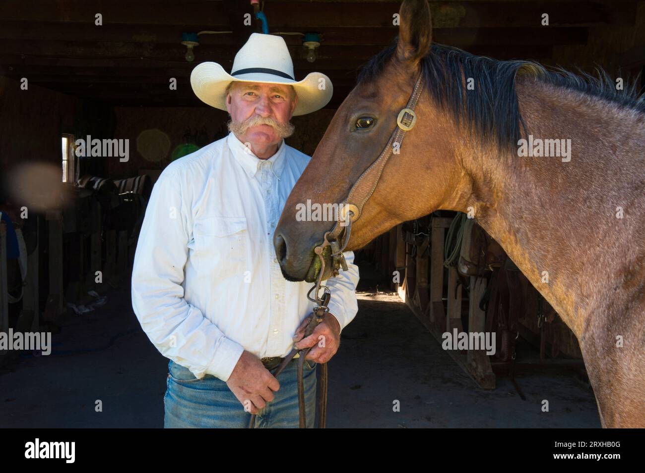 Rancher stands in a barn with his horse; Burwell, Nebraska, United States of America Stock Photo