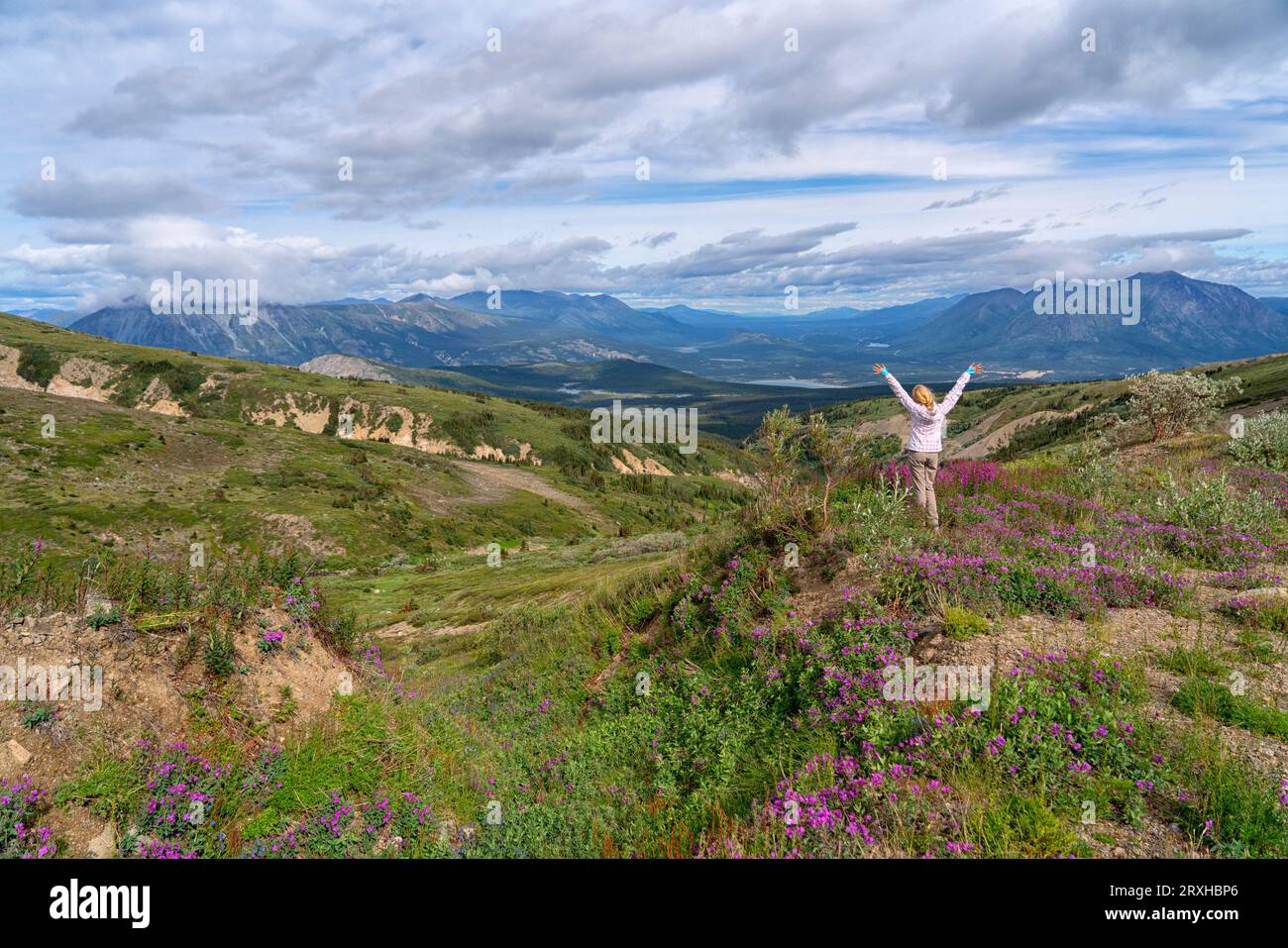 Back view of a person standing on Montana Mountain with her hands raised while looking over the beautiful vista, near Carcross, Yukon Territory Stock Photo