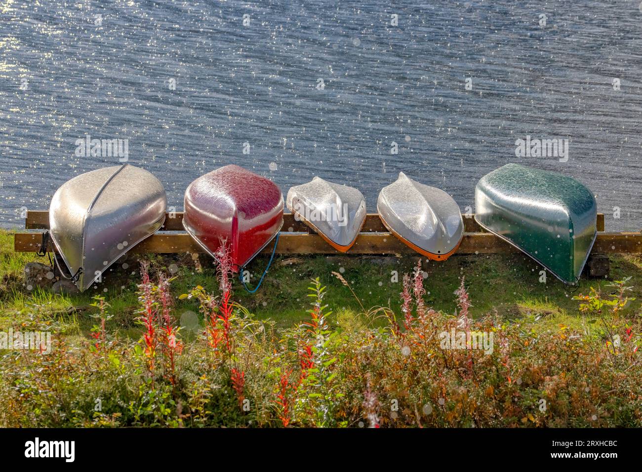 Canoes and kayaks in a rainstorm along a lake in the remote Yukon; Yukon, Canada Stock Photo