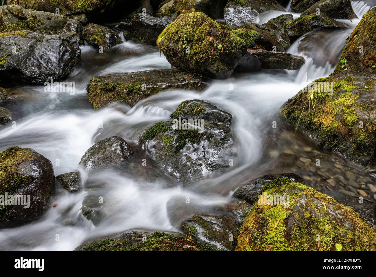 Long Exposure of the rushing water, rocks, and moss of Bunch Falls near Lake Quinault in the Olympic National Forest Stock Photo