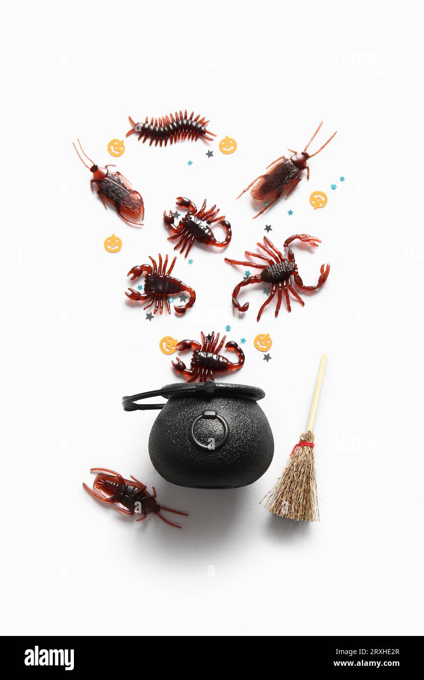 Halloween composition with candy bugs, cauldron and broom on white background Stock Photo