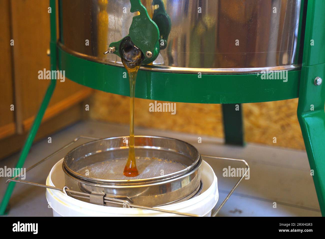 Honey production. The beekeeper opens the honey extractor valve and the
