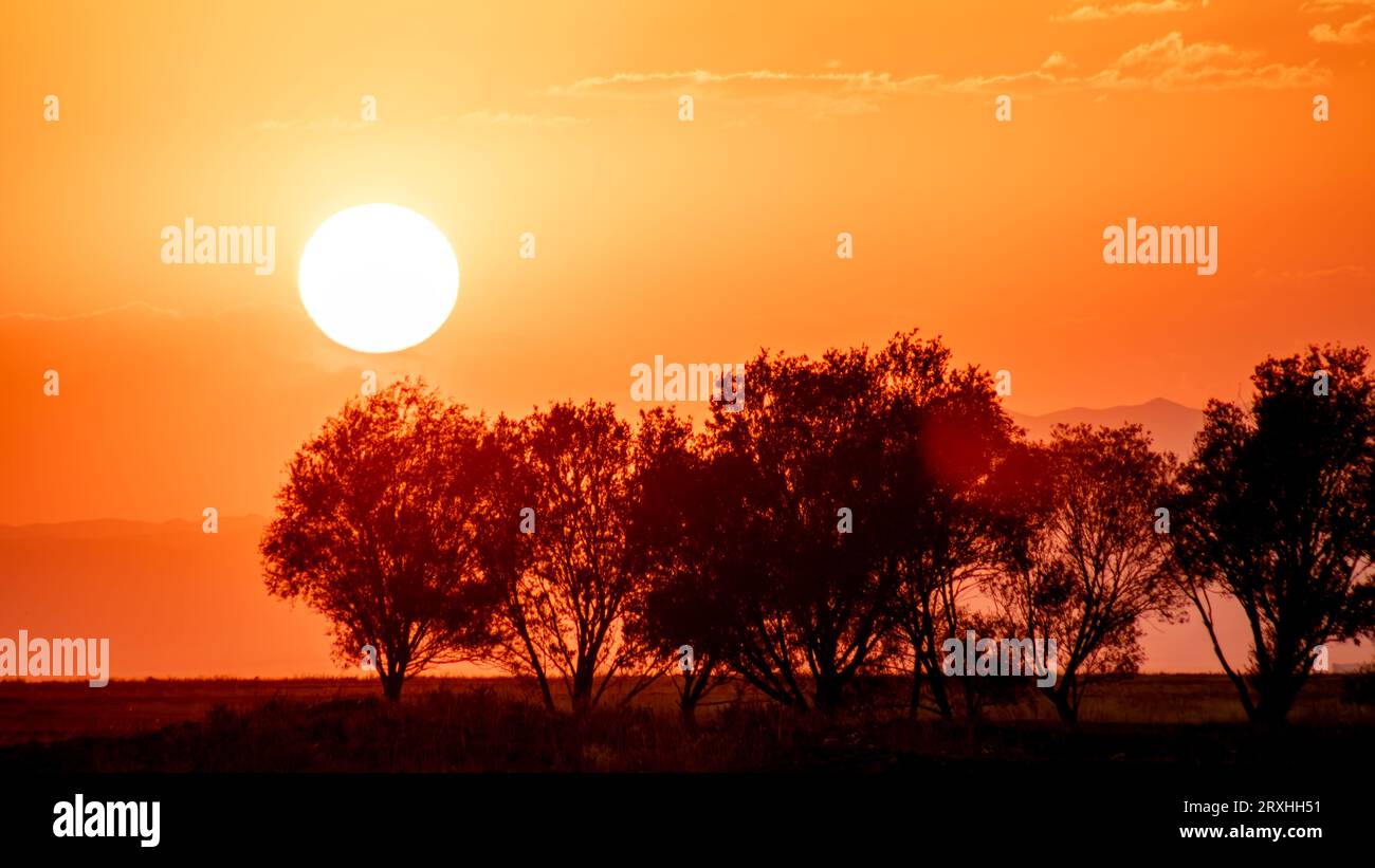 Anatolian Sunset with Tree and Mountain Silhouette. Dark Trees in an ...