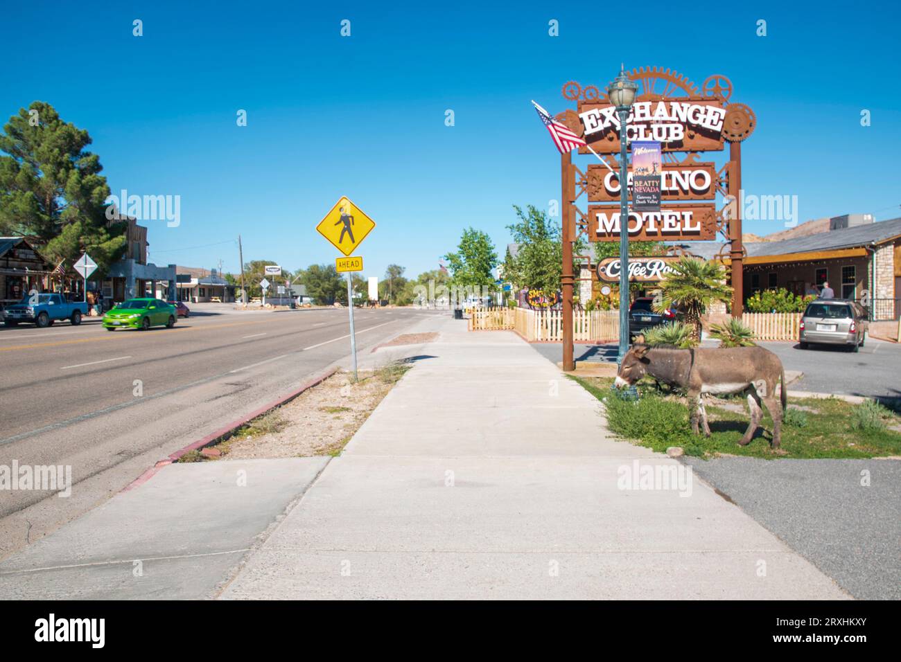 The town of Beatty, NV, USA is known for its local herd of wild burro