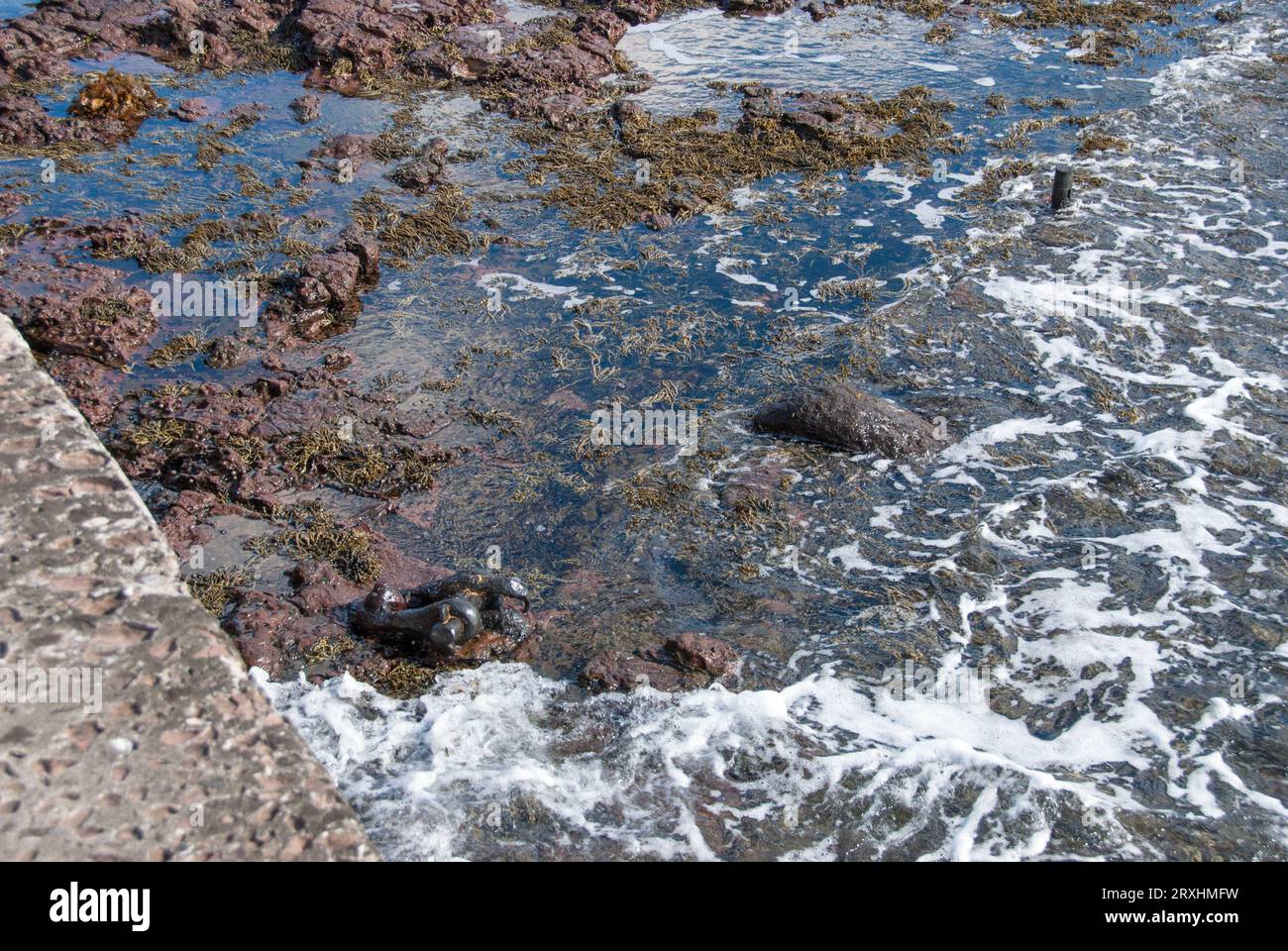 Crustations On Rocks Encrustations hi-res stock photography and images - Alamy