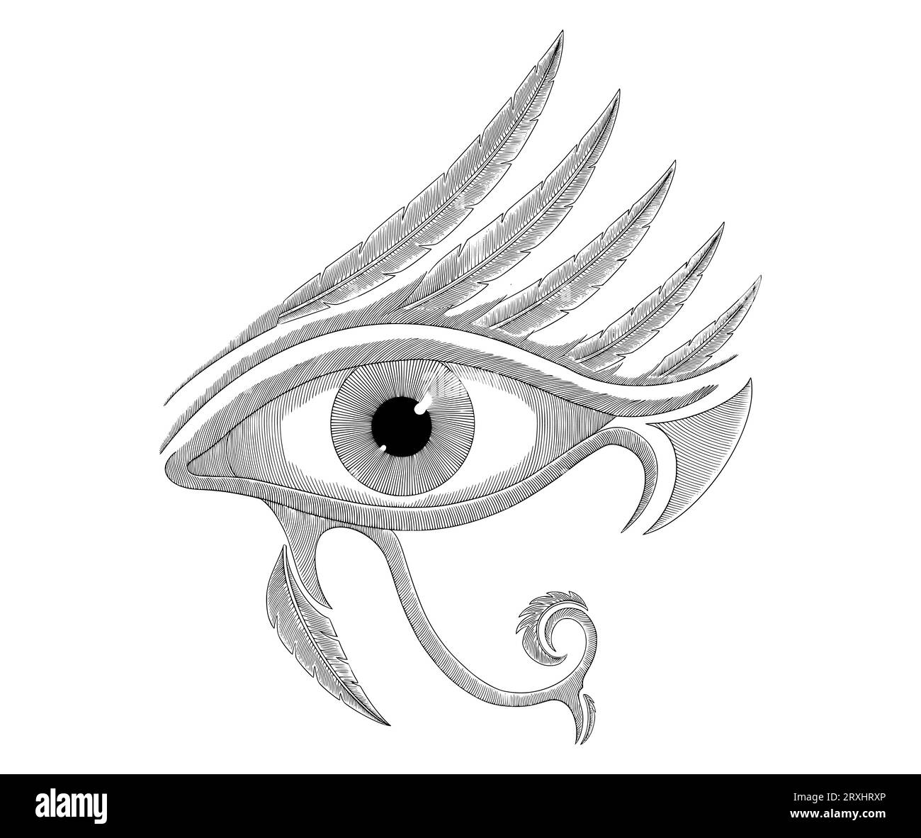 thumbnail interactive-video image 1 of 2x Egyptian Eye Of Ra / Eye Of Horus Decals – Black Vinyl Stickers (12 X 8 Cm) 1 of 2