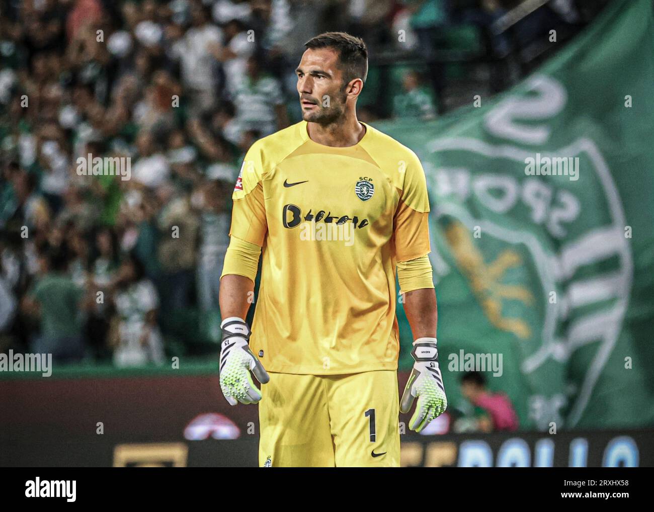 X during Liga Portugal Betclic 23/24 game between SC Farense and Sporting  CP at Estadio de Sao Luis, Faro. (Maciej Rogowski Stock Photo - Alamy