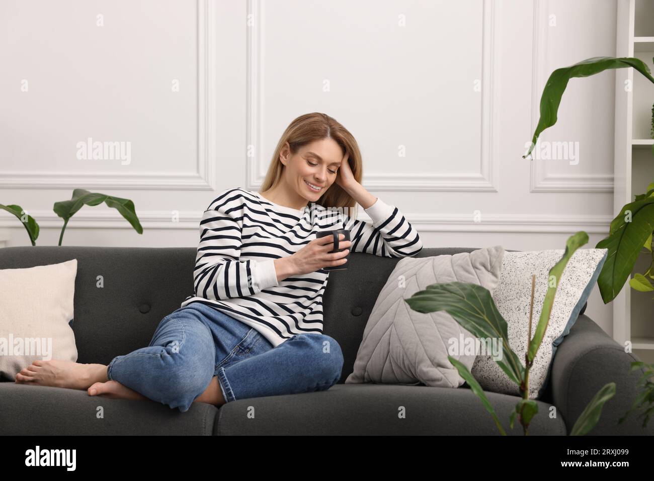 A Comfy Couch With Pillows Surrounded By Houseplants Stock Photo