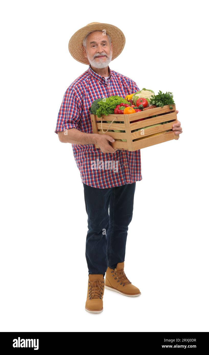 Harvesting season. Farmer holding wooden crate with vegetables on white ...