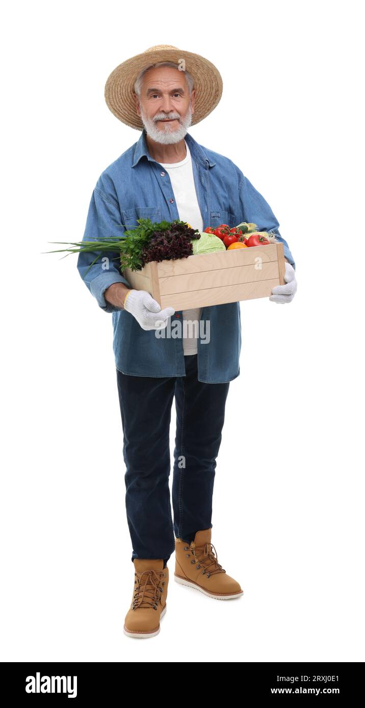 Harvesting season. Farmer holding wooden crate with vegetables on white ...