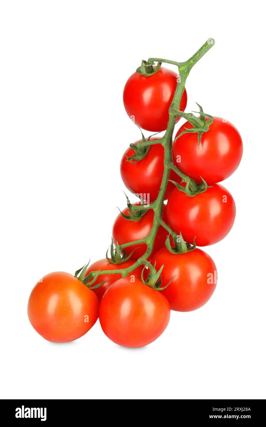 Branch of red ripe cherry tomatoes isolated on white Stock Photo - Alamy