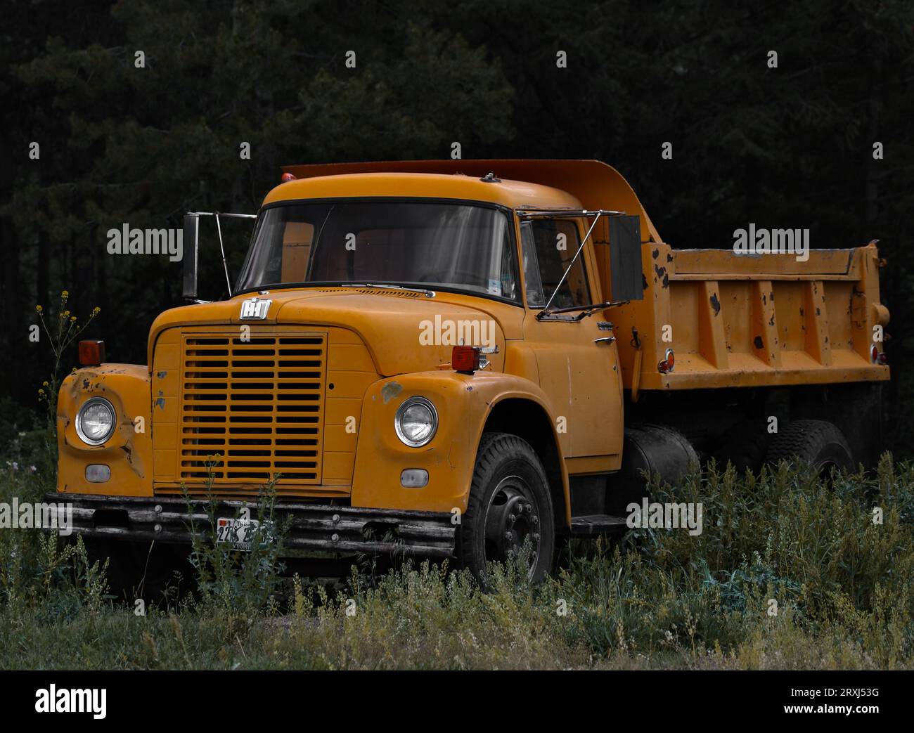 Old yellow truck, lying in the woods Stock Photo Alamy