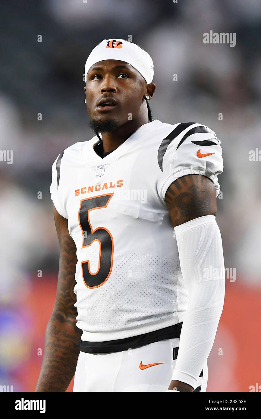 Cincinnati Bengals wide receiver Tee Higgins (5) looks on during