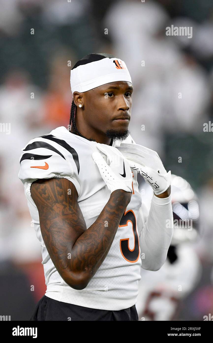 Cincinnati Bengals wide receiver Tee Higgins (5) looks on during