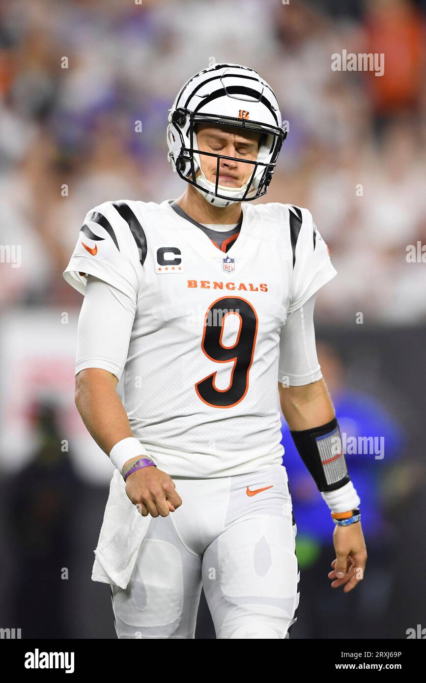 Cincinnati Bengals quarterback Joe Burrow (9) looks to pass against the Los  Angeles Rams during …