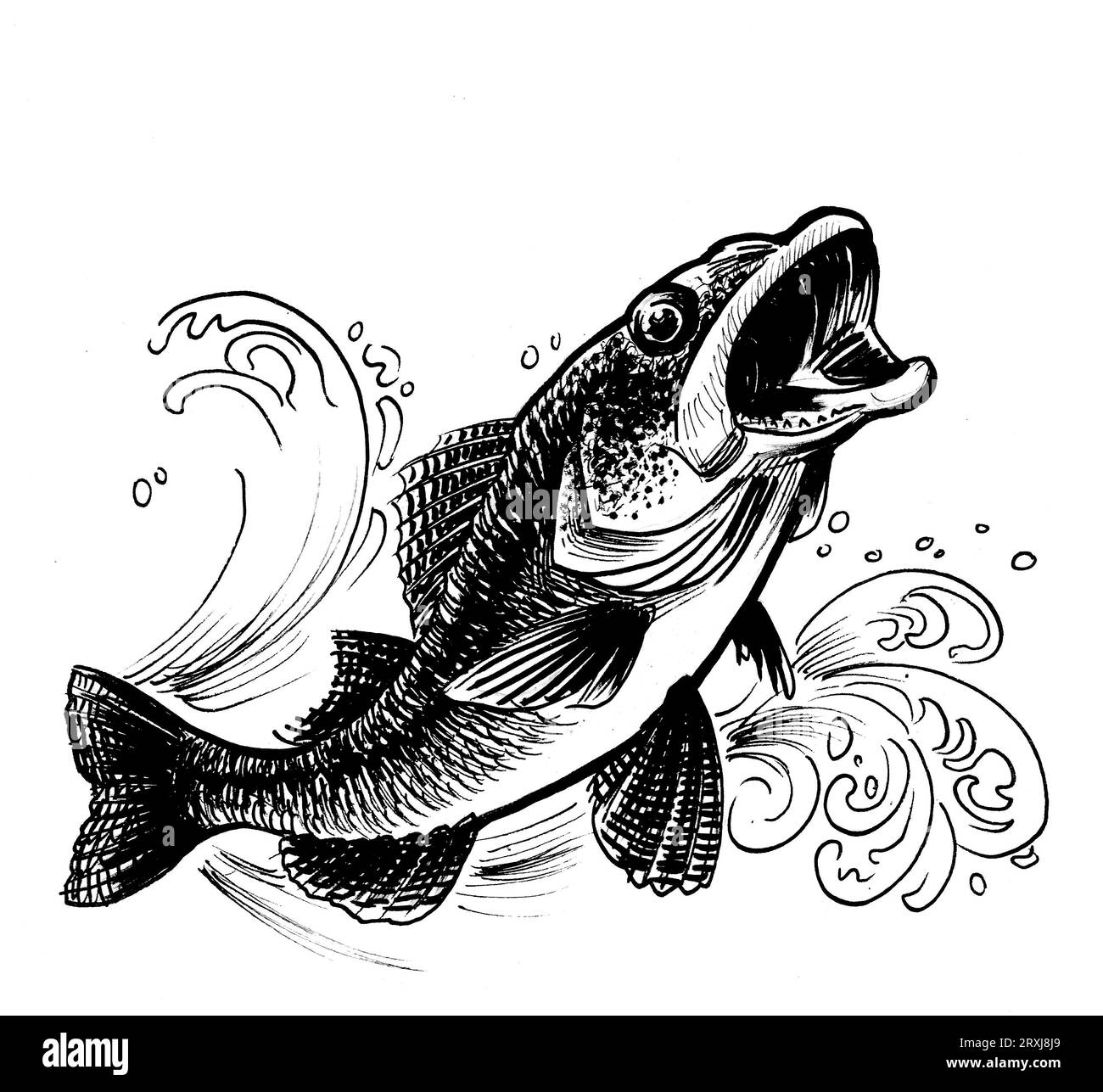 Pike. Vector illustration of a sketch jumping fish. Fishing logo. Angry fish  Stock Vector Image & Art - Alamy