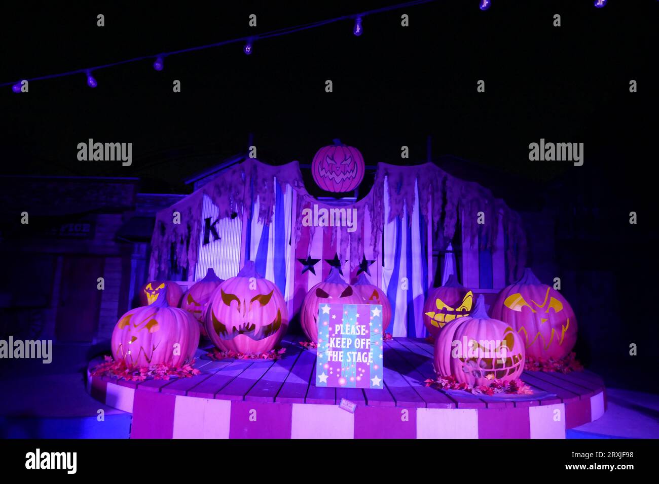 Buena Park, California, USA 24th September 2023 Jack O Lanterns in