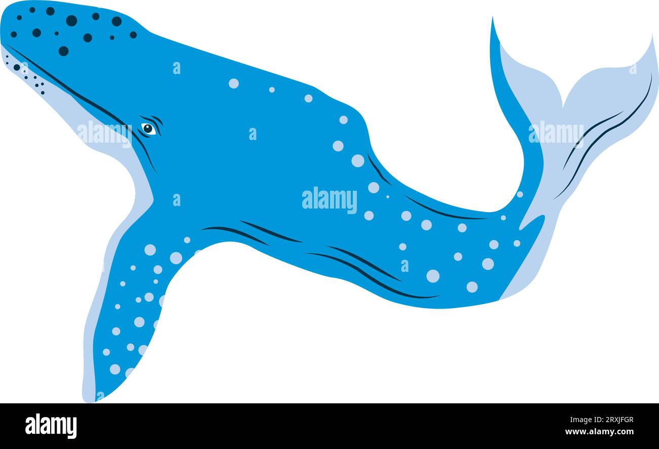 humpback sealife illustration icon Stock Vector Image & Art - Alamy