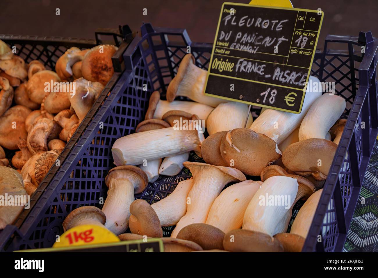 King trumpet mushrooms on display at a farmers market on Place Broglie Square in the historic center of Strasbourg, Alsace, France Stock Photo