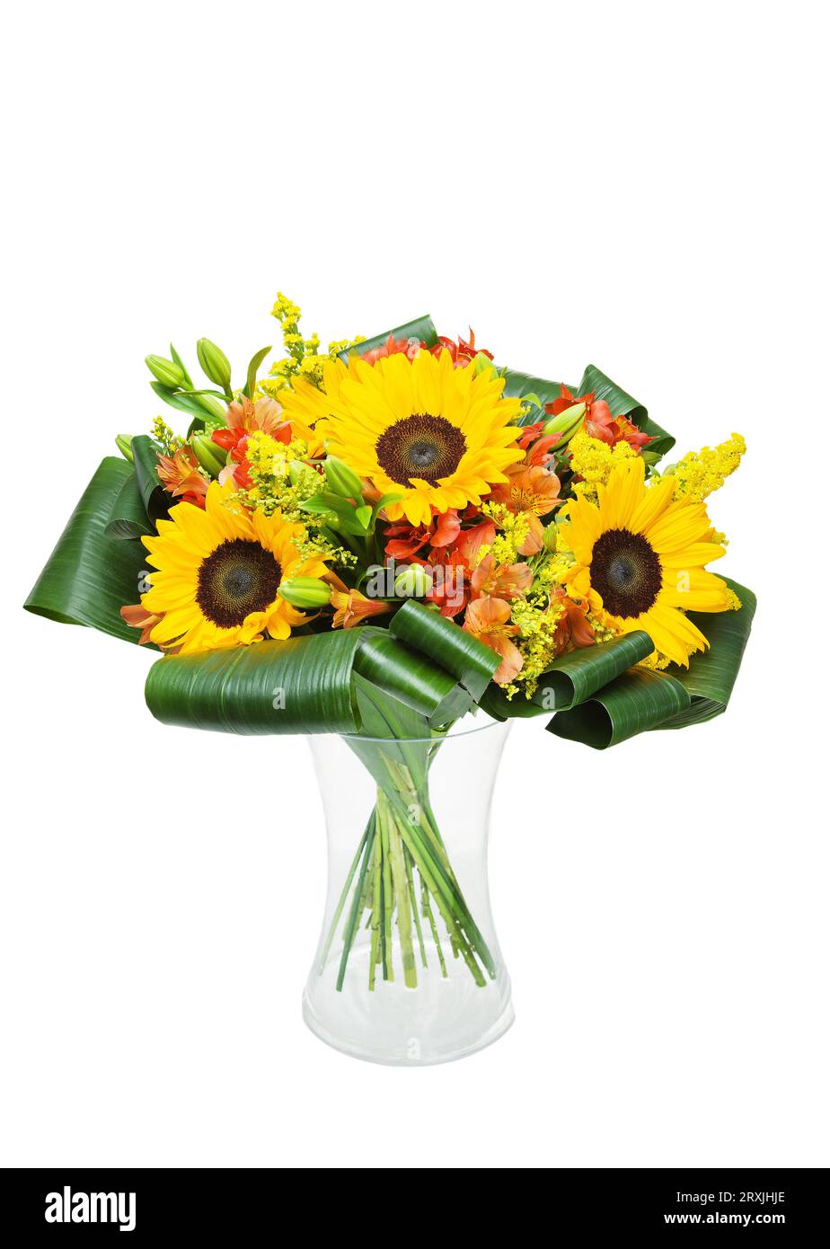 Beautiful huge bouquet of sunflowers with lilies in vase on white background Stock Photo