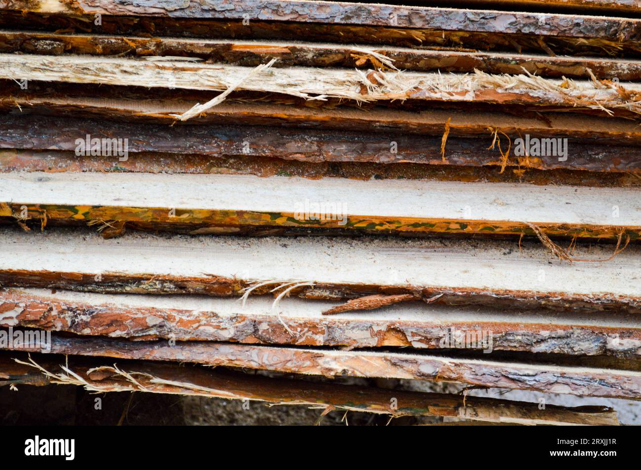 Lots of long wooden natural planed boards and sticks at a sawmill. The ...