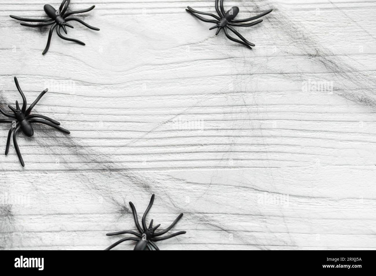 Halloween background with spider web and spiders on white wood Stock ...
