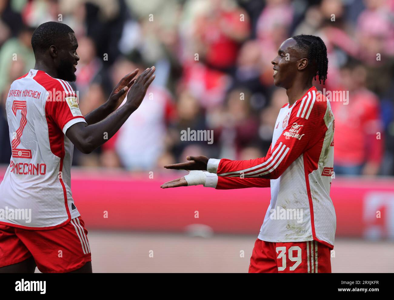 Mathys Tel of FC Bayern Muenchen bejubelt sein Tor zum 6:0 FC Bayern ...