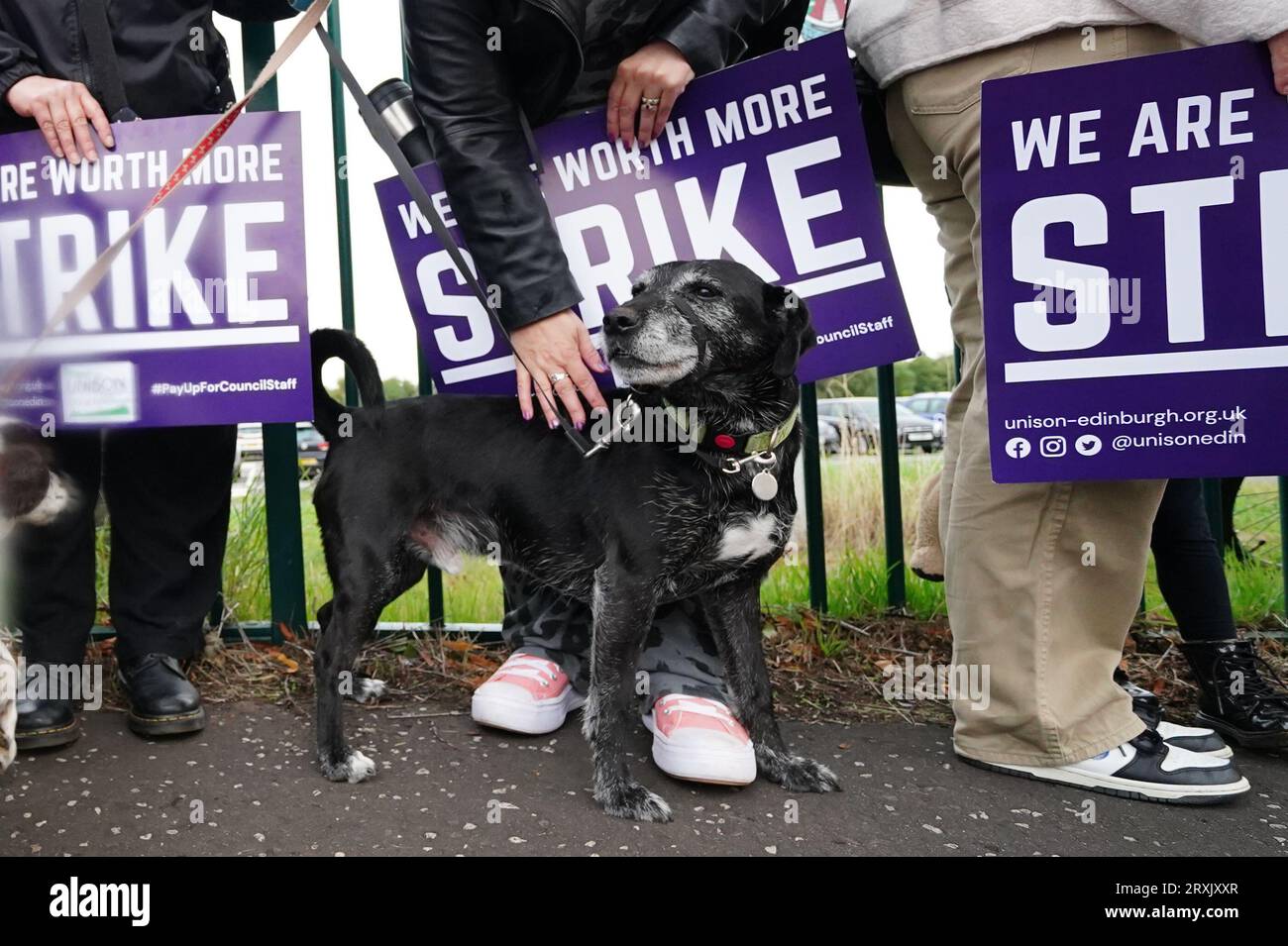 Unison school strikes scotland hires stock photography and images Alamy