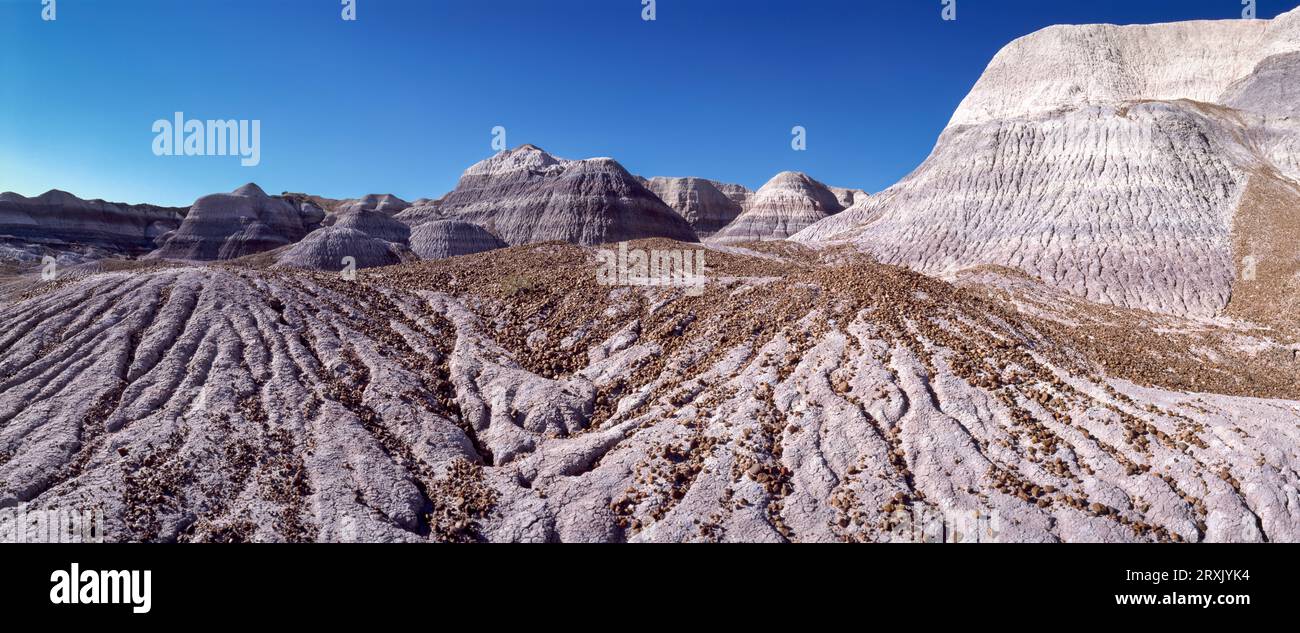 Barren landscape of Petrified Forest National Park, Holbrook, Arizona, USA Stock Photo