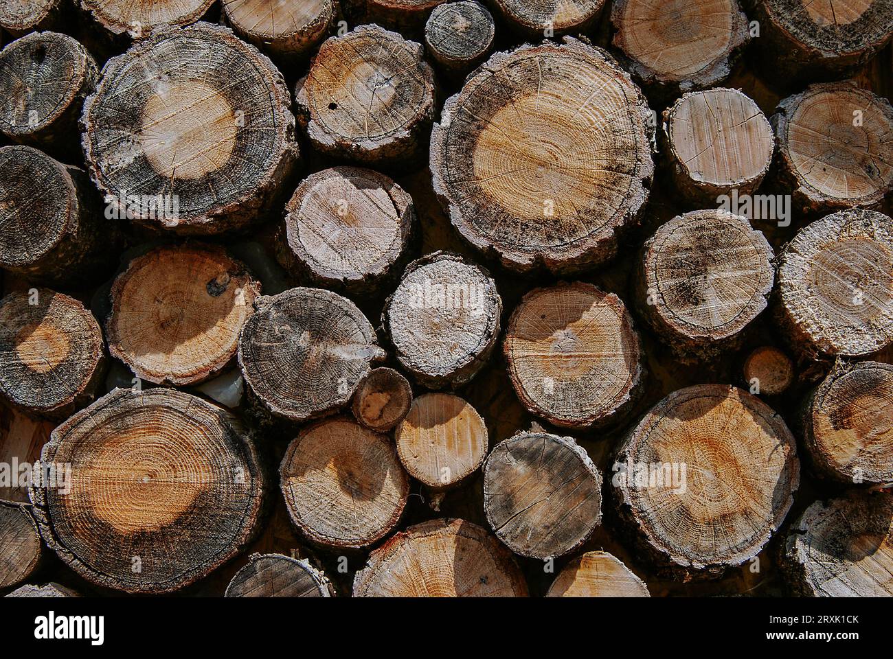 wood logs , sawn stacked wood logs Stock Photo Alamy