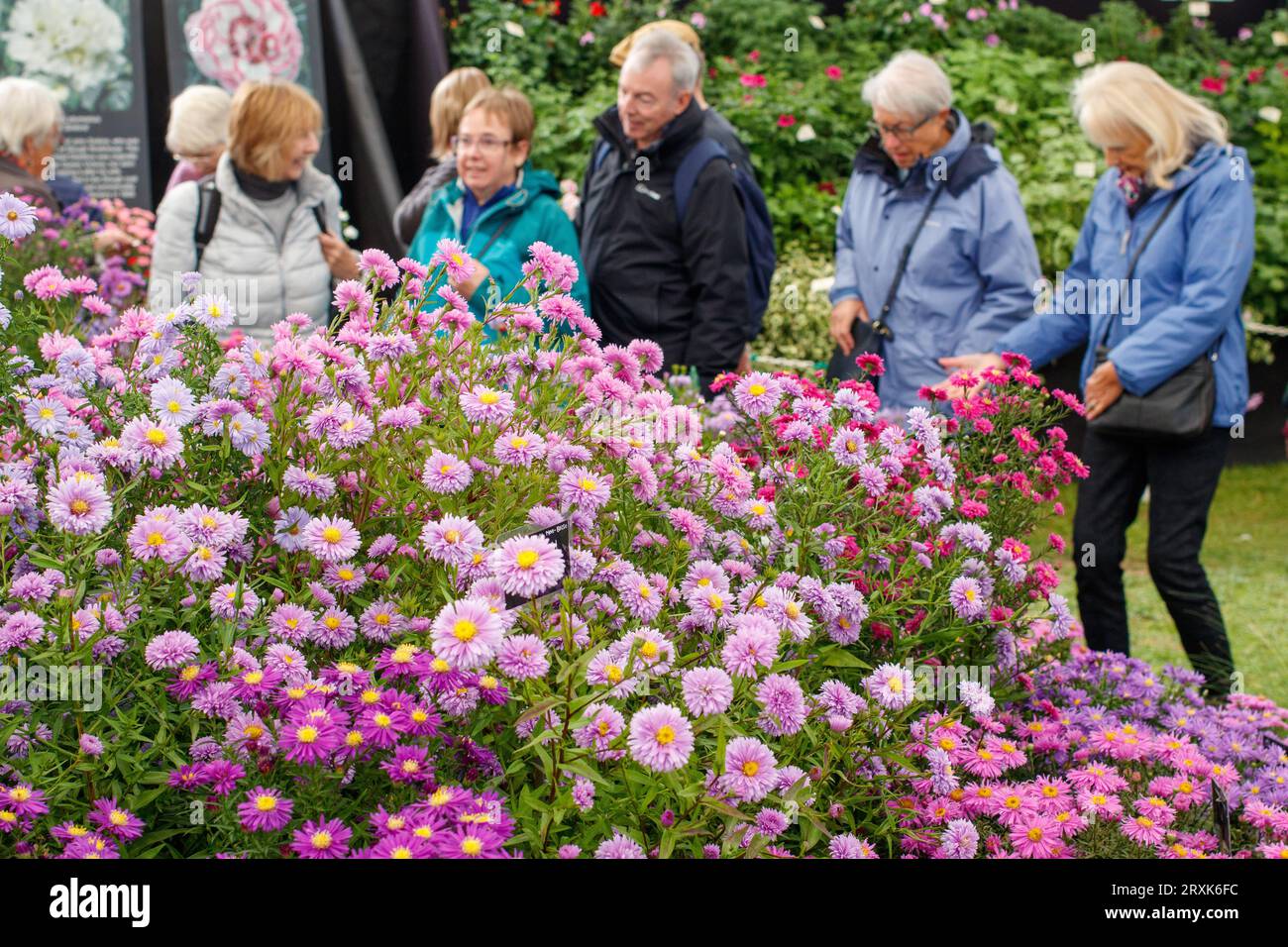 People admiring the flower displays in the Garden Theatre at the Malvern Autumnal Show. The Three day Malvern Autumn Show at the Three Counties Showground, Malvern, Worcestershire, England, UK. Stock Photo