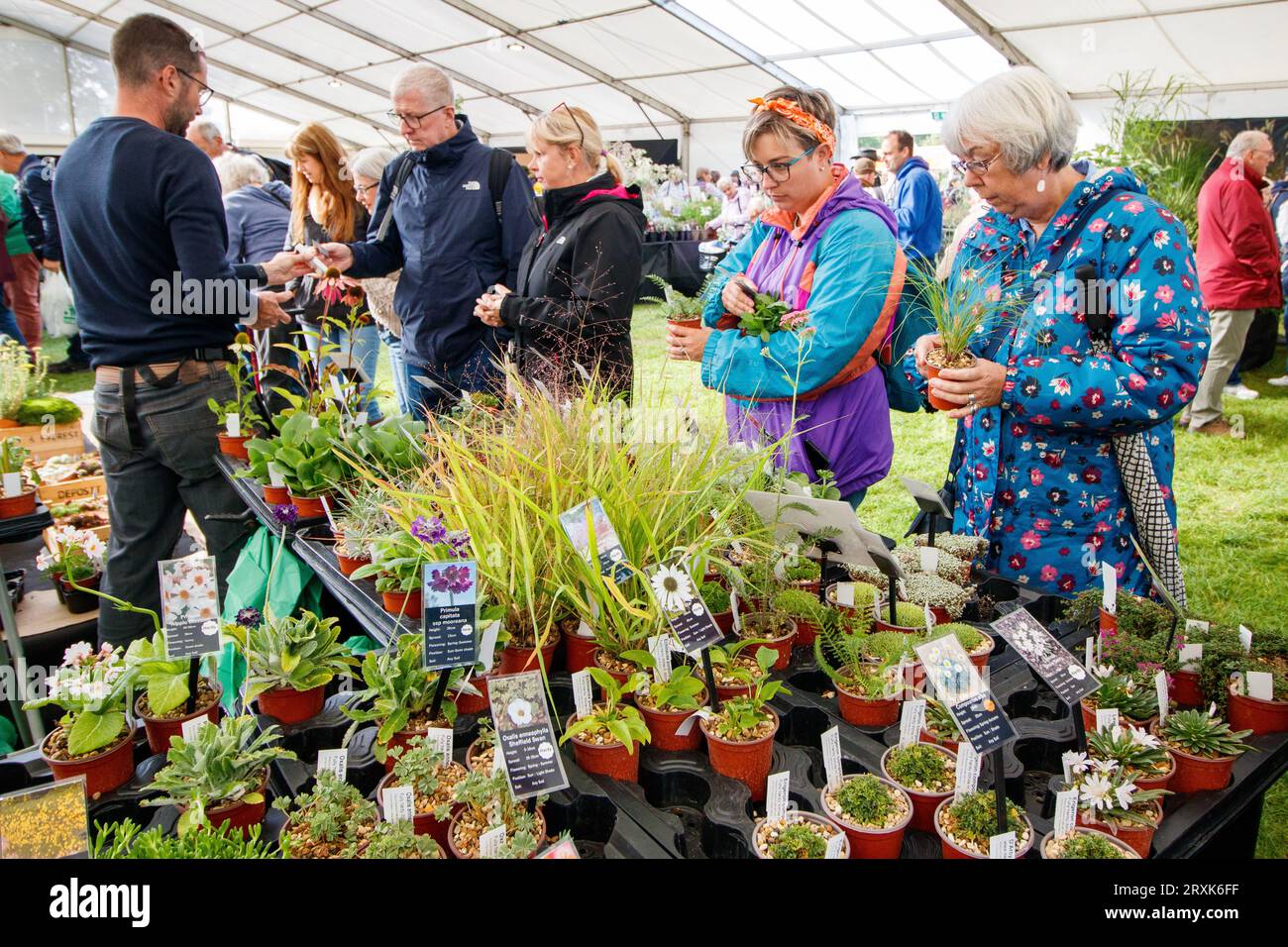 People buying plants at the Malvern Autumnal Show. The Three day Malvern Autumn Show at the Three Counties Showground, Malvern, Worcestershire, England, UK. Stock Photo