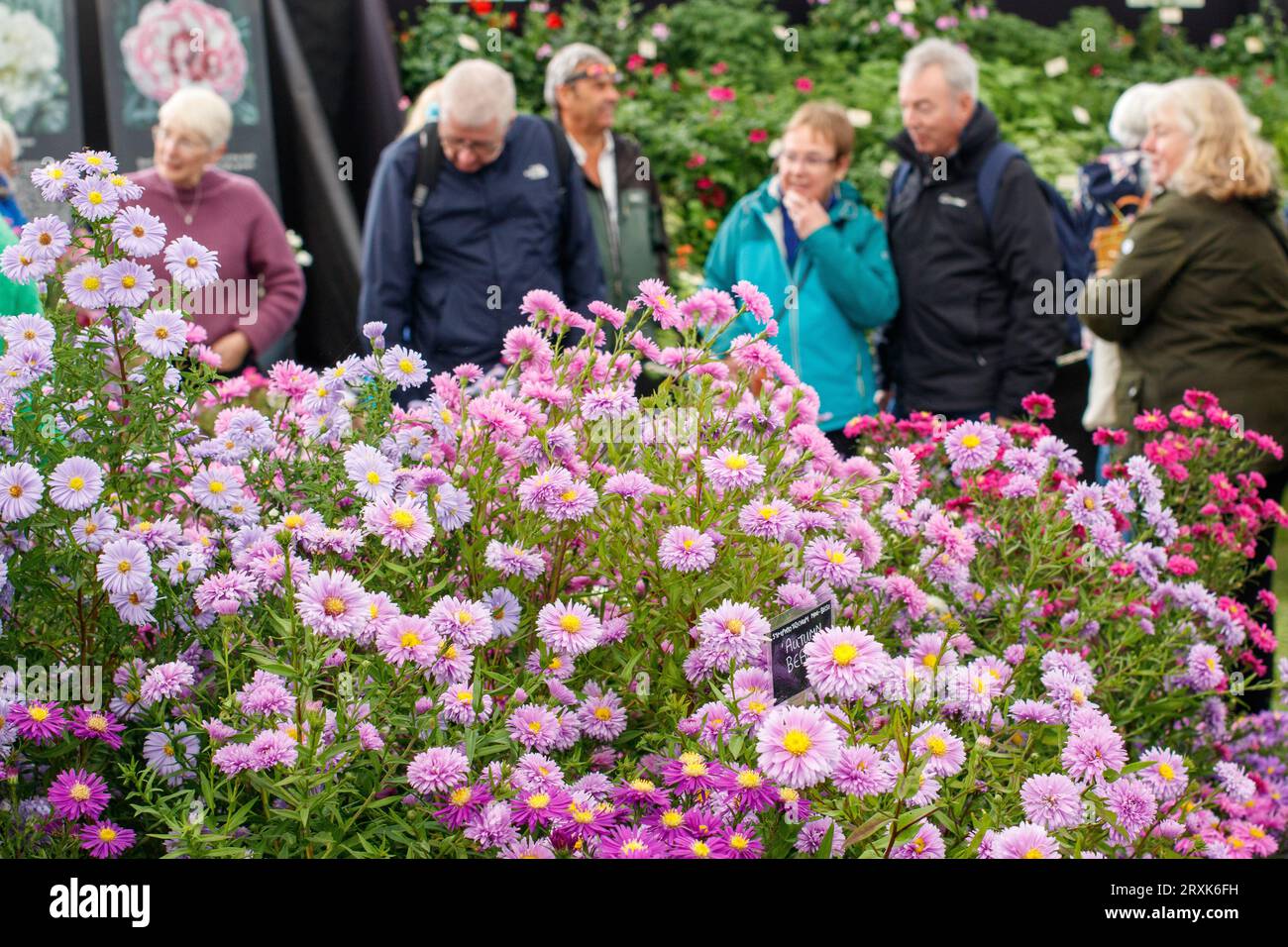 People admiring the flower displays in the Garden Theatre at the Malvern Autumnal Show. The Three day Malvern Autumn Show at the Three Counties Showground, Malvern, Worcestershire, England, UK. Stock Photo