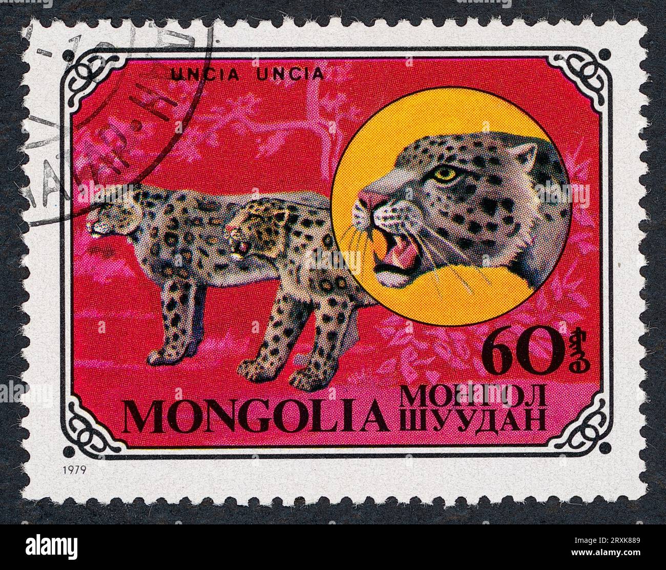 Postage cat hires stock photography and images Alamy