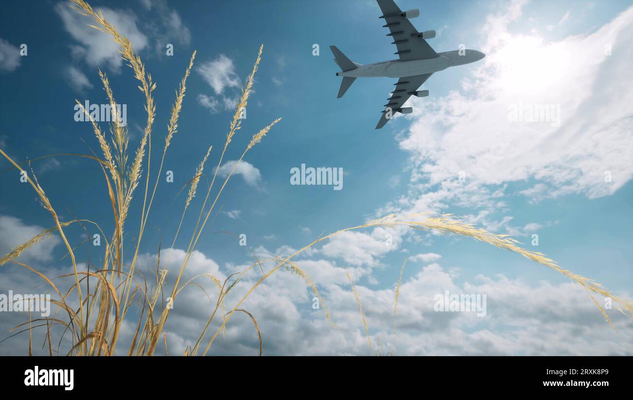 The plane flies against the background of clouds and wheat 3d render ...